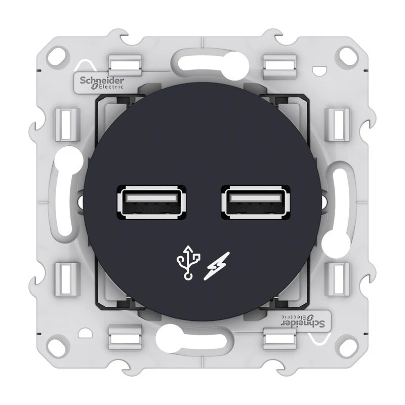 Double prise USB (sans plaque) - Odace - anthracite - Schneider