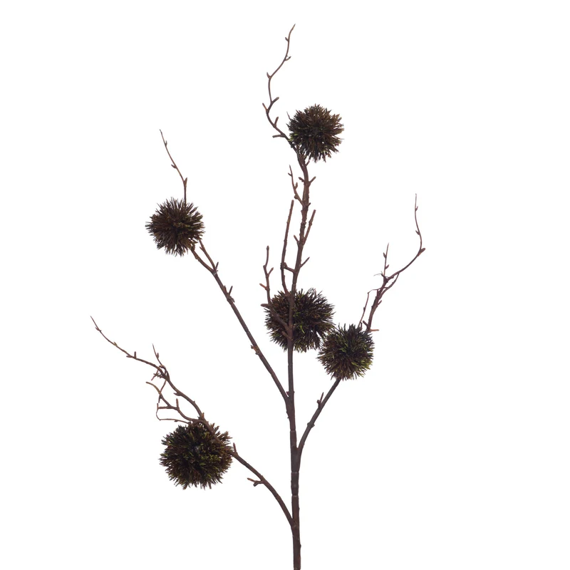 Branche de chardons marrons
