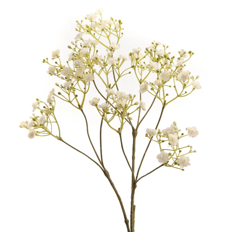 Branche de Gypsophiles blancs