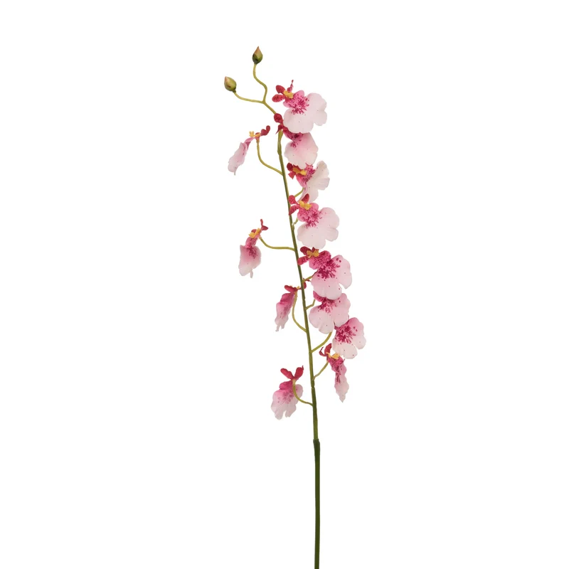 Branche d'Orchidée Papillon