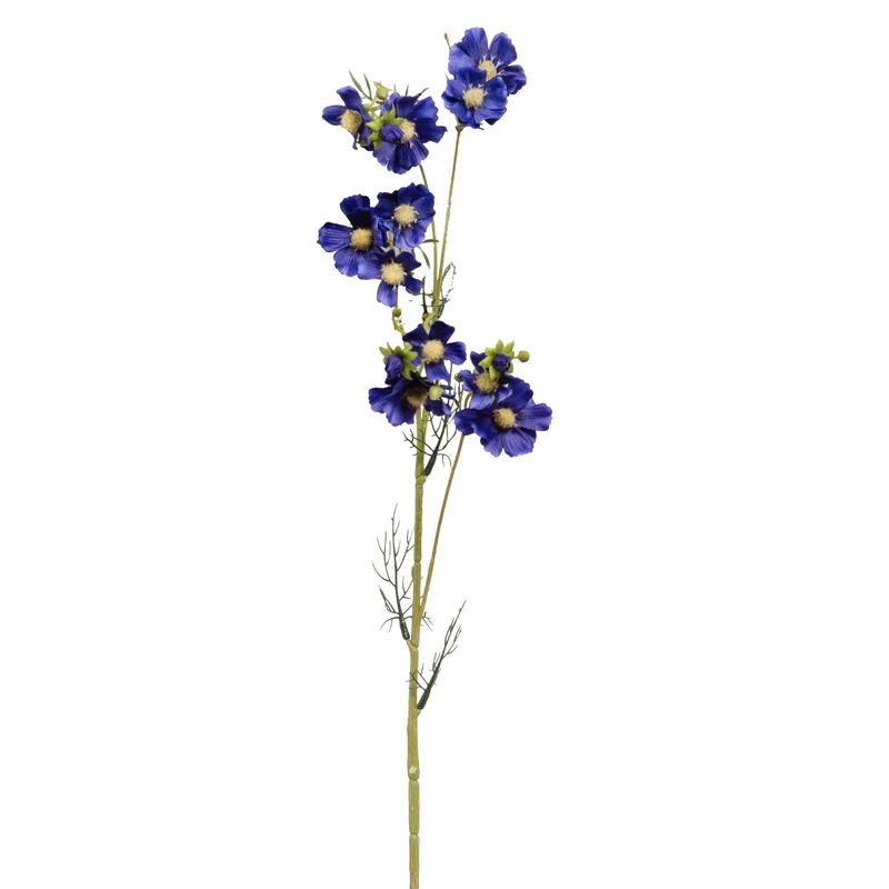 Branche de Cosmos des prés
