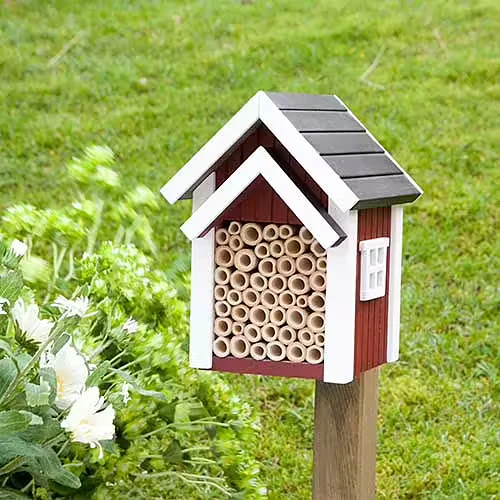 Maison abri pour abeilles sauvages
