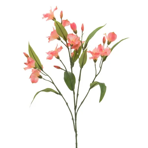 Branche d'Alstroemeria - 2 couleurs