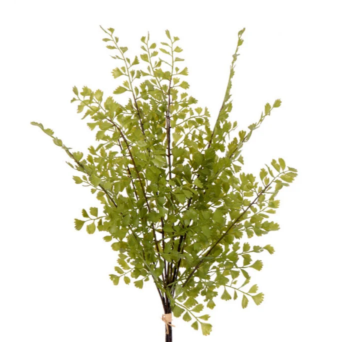 Bouquet capillaire