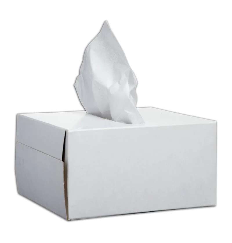 LENS CLEANING TISSUES 300/BOX