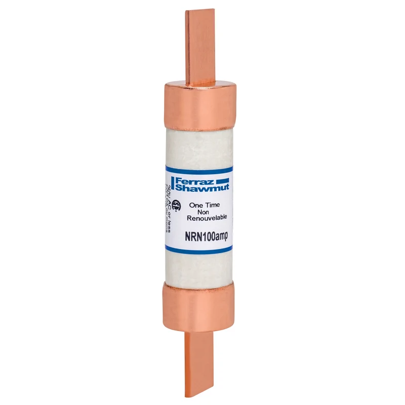 FUSE ONE TIME 100A 250V
