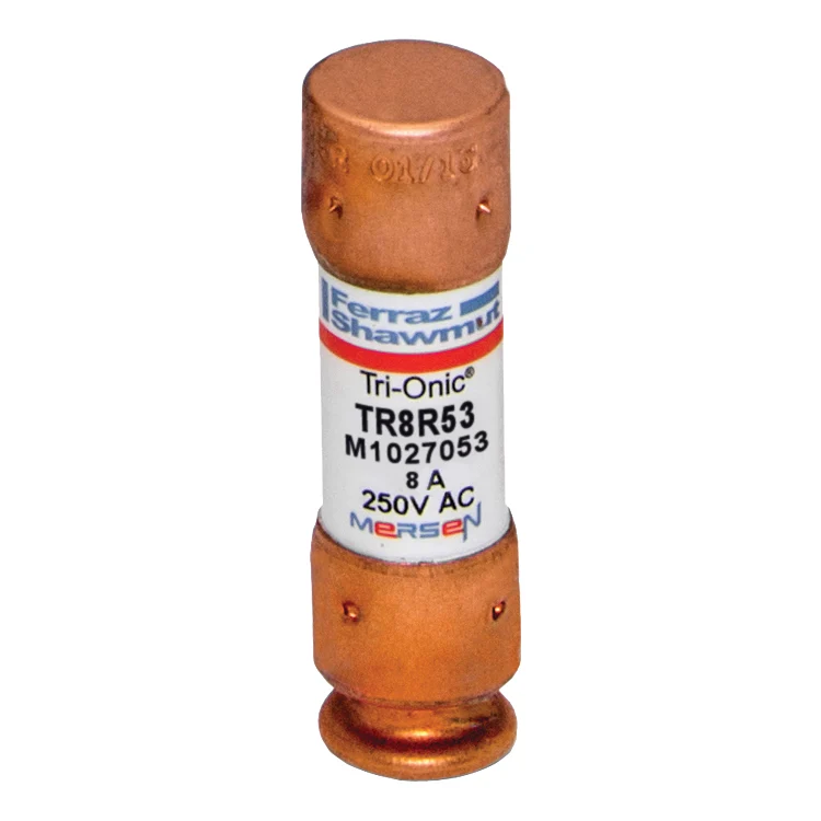 FUSE CLASS RK5 TIME DELAY 8A 250V