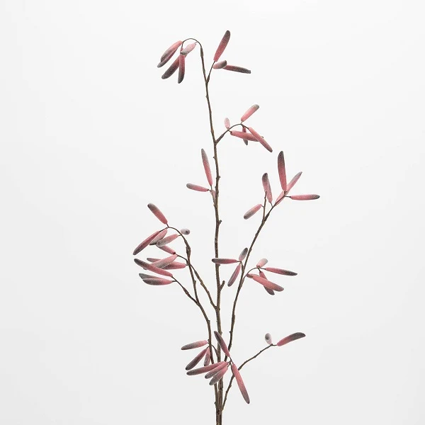 Branche graines de berry