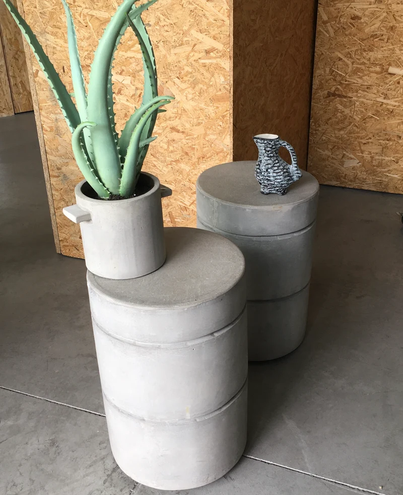Cactus Aloe en pot