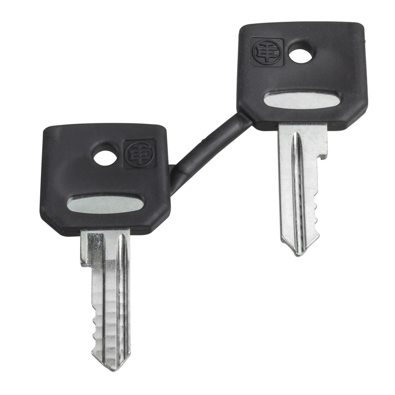 Set Of 2 Keys 4A185