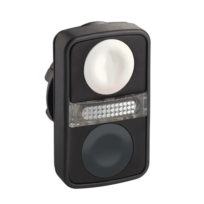 Head For Illuminated Double Headed Push Button, Harmony XB5, 2 White/Black Flush, 22mm, 1 Central Pilot Light, Unmarked