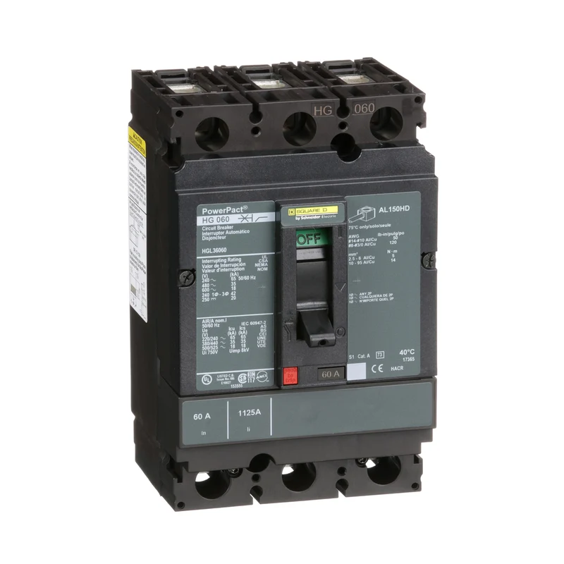 BREAKER MOLDED CASE 100A 2P 600V