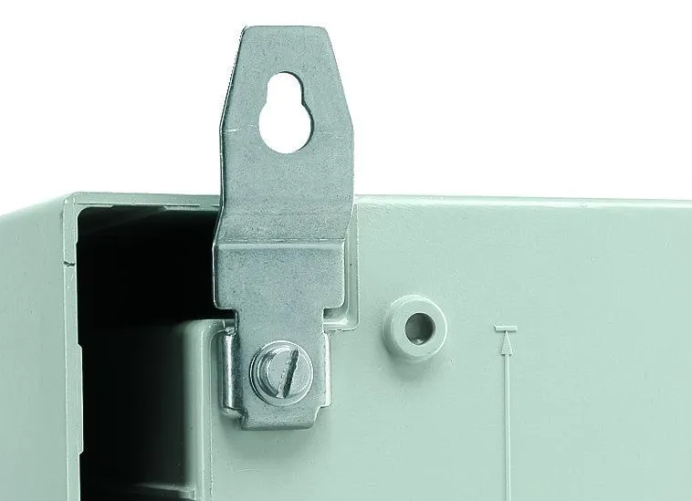 Set of 4 Wall Mounting Lugs for Thalassa PLM Electrical Enclosure NSYPFXPLM